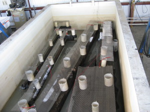 Tank 5 complete. The white powder on the edge of some of the objects is sodium hydroxide that has not completely dissolved yet.