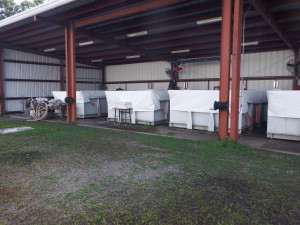 在所有的水箱中完成工作。