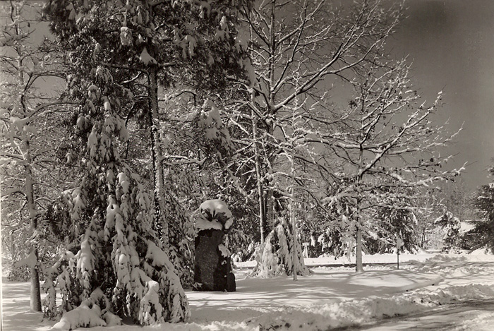 1947年3月9日公园里的雪