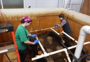 Laurie and I cleaning the starboard gun carriage tank