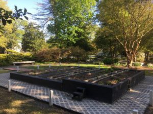 水手博物馆公园的传粉花园的侧视图