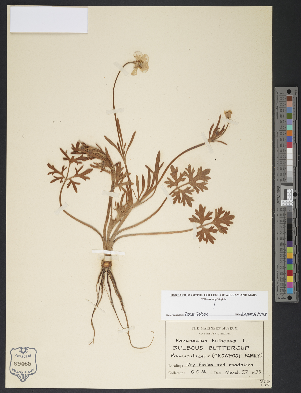 植物压力，1935年