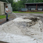 Tarp