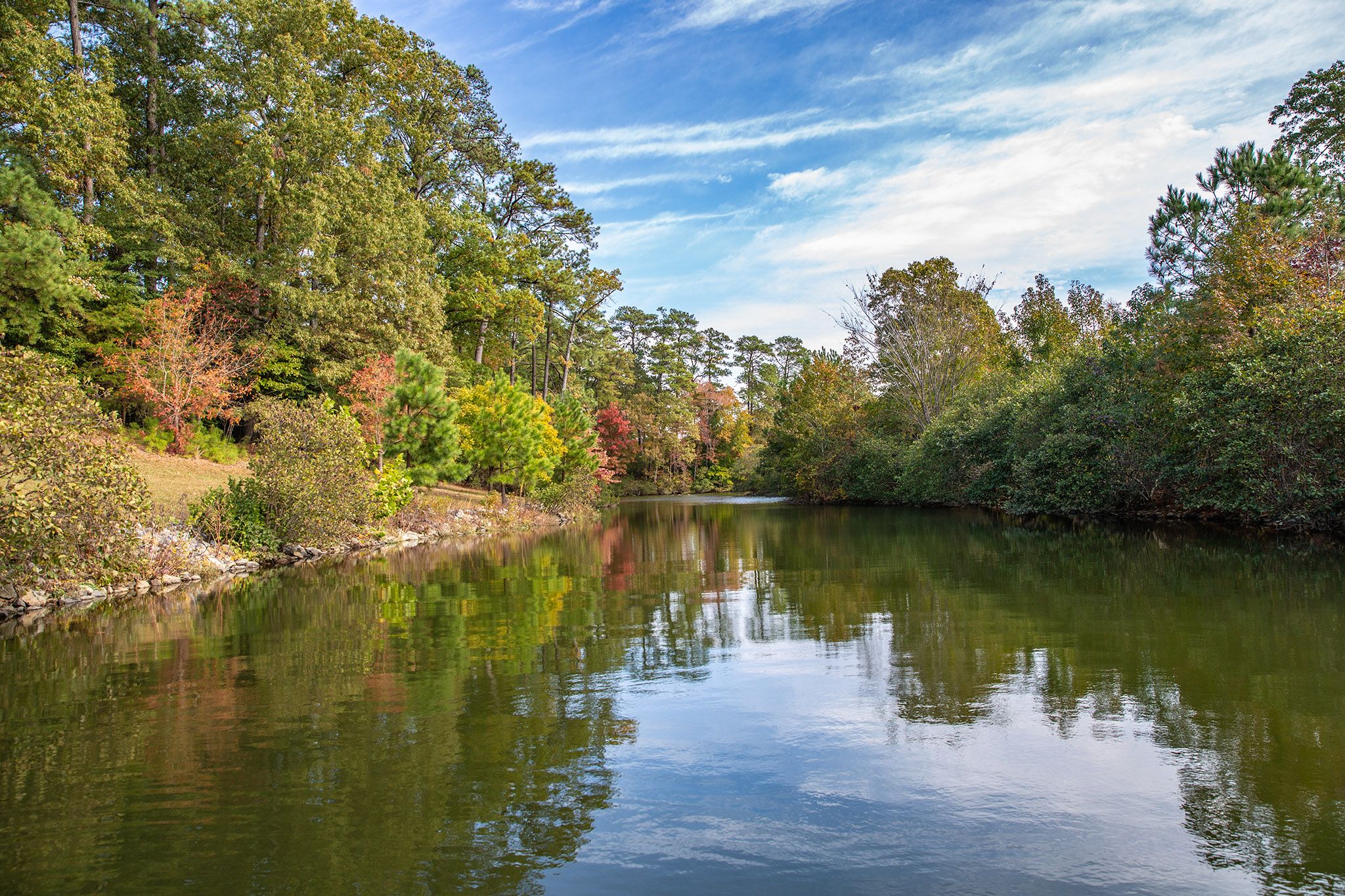 公园里的颜色斑块