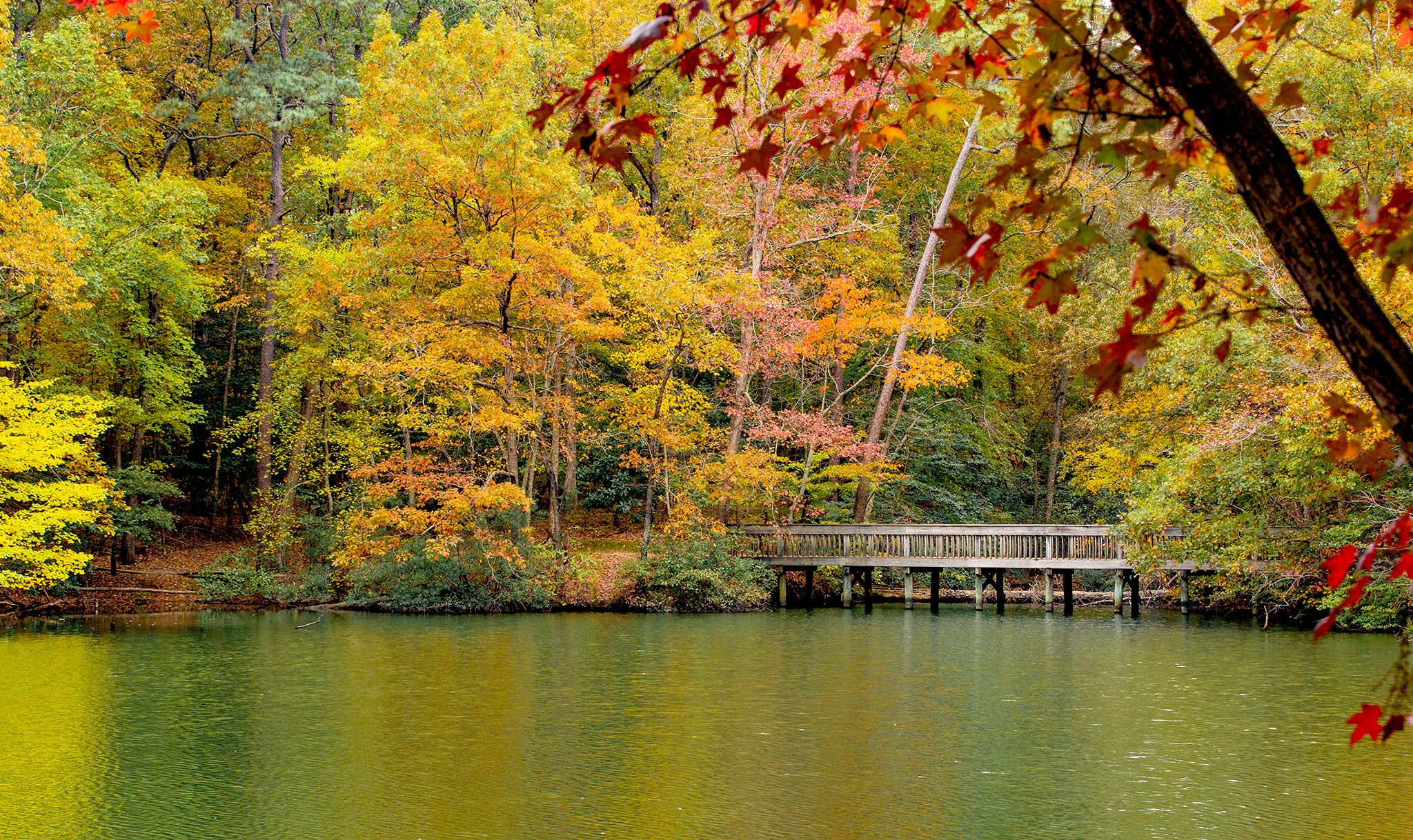 Peak leaf color in the Park