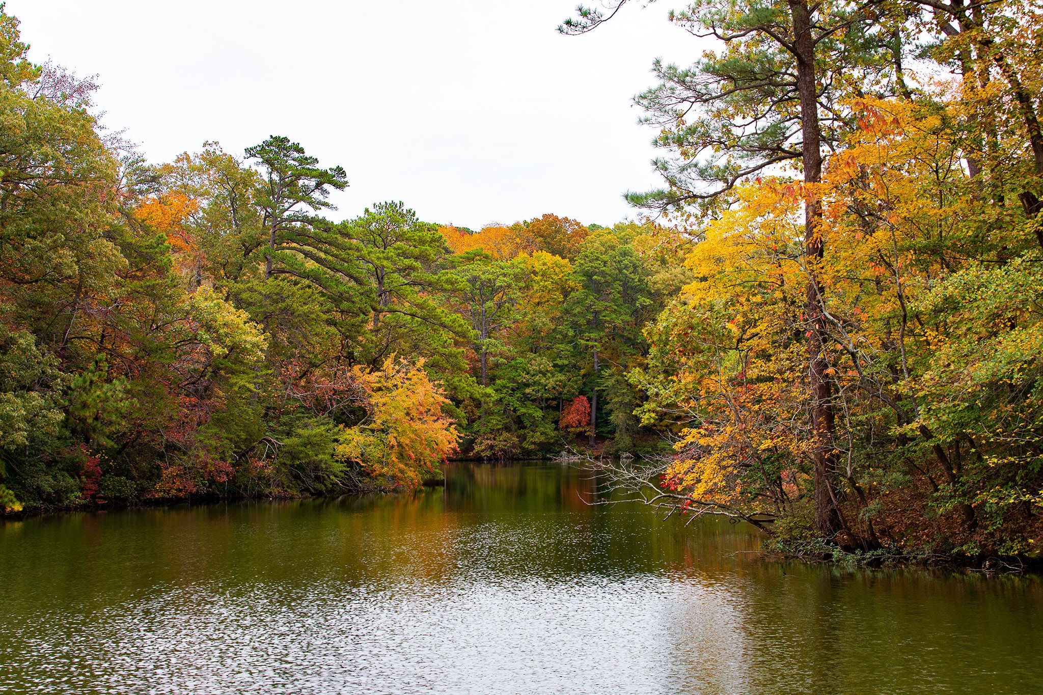 Partial color in the Park