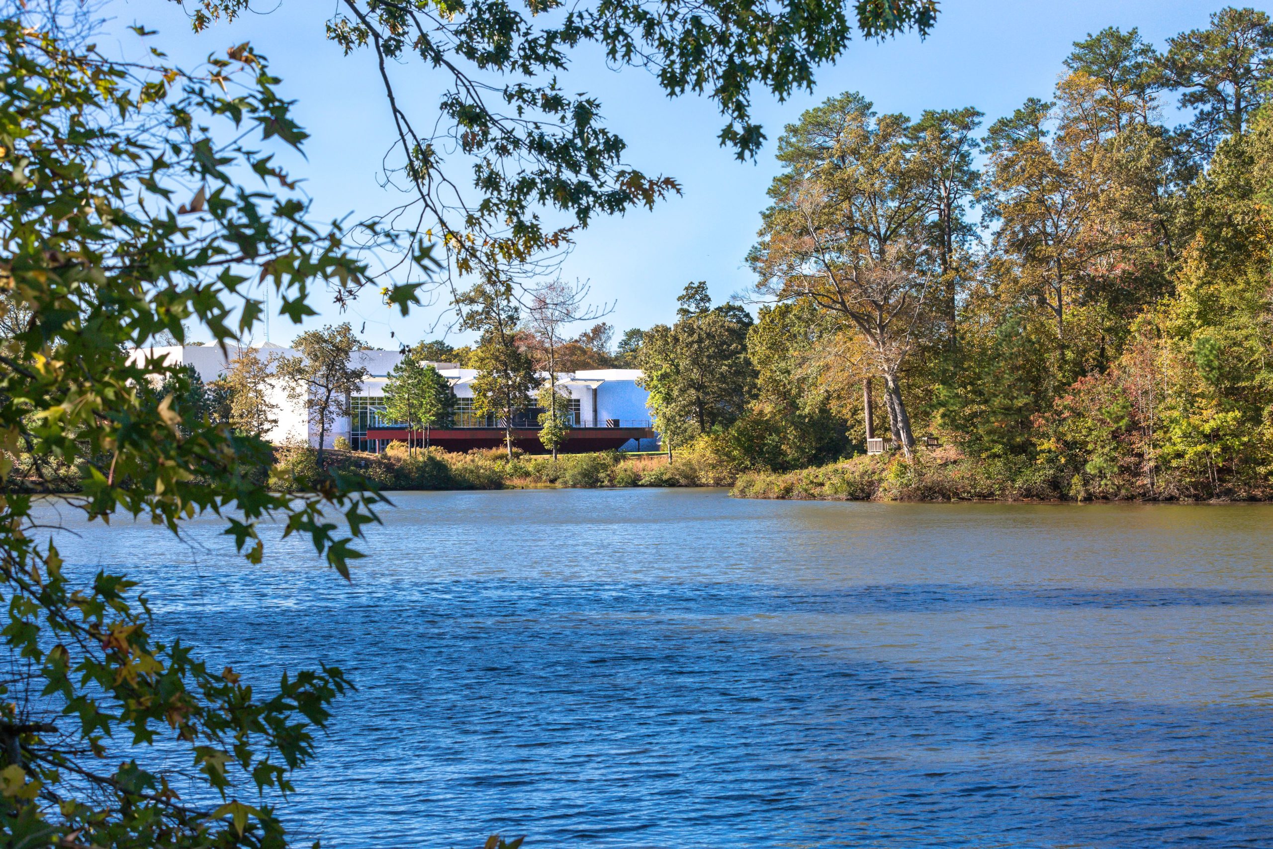 Minimal fall color in the Park