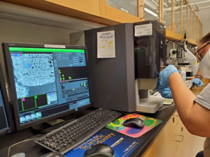 ARC William and Mary的SEM