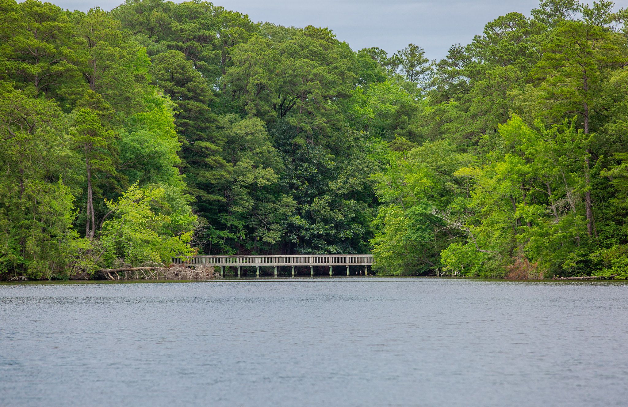 No color change in the Park