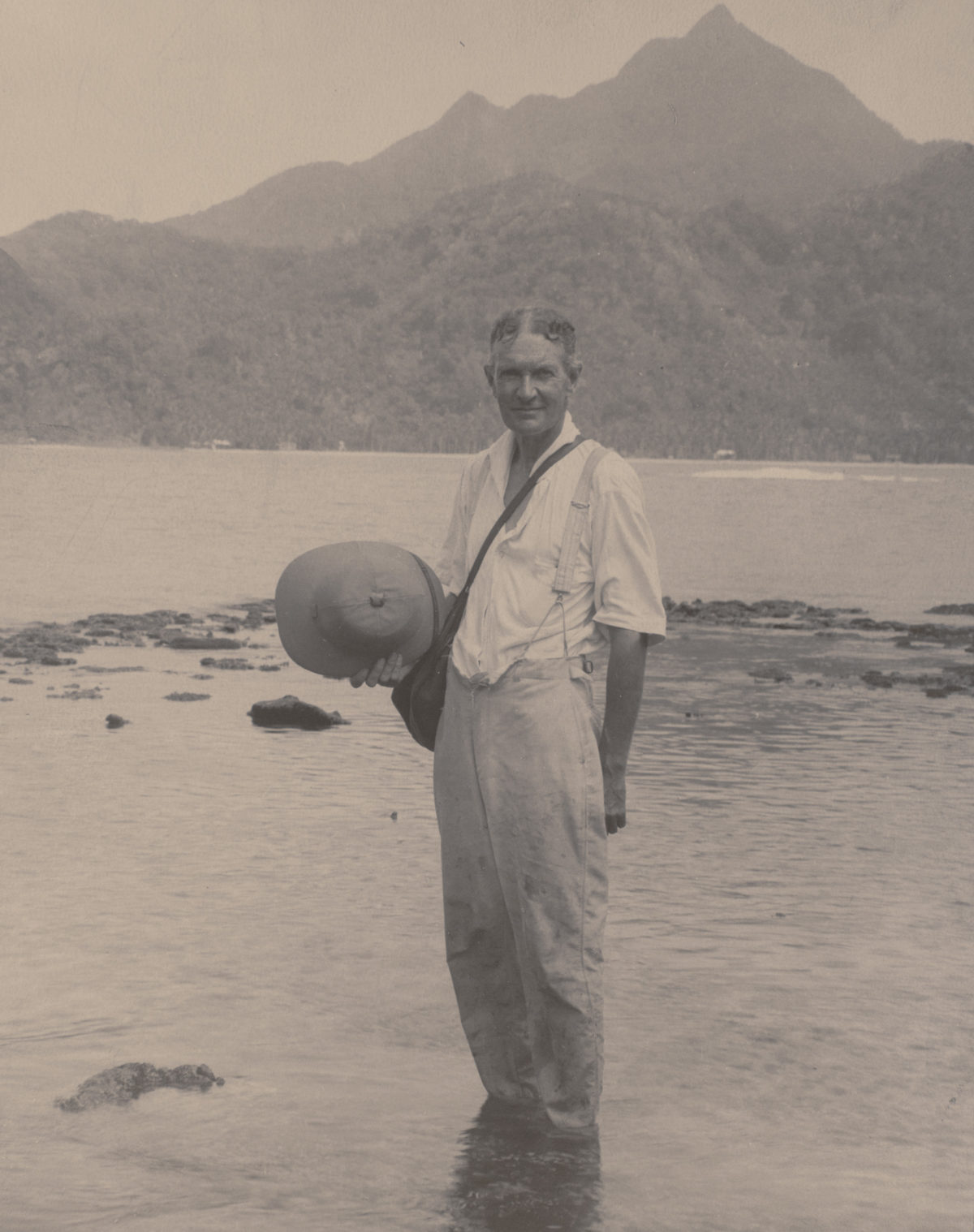 用动物学家的眼睛