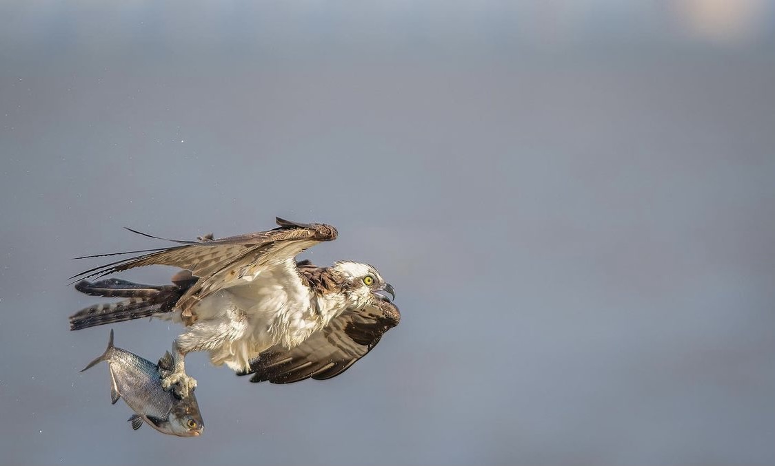 你坐在你想做的吗？
