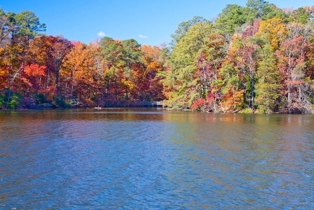 Near peak color change in the Park