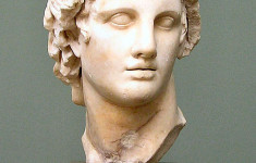 亚历山大大胸围