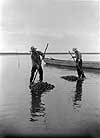 Raking clams off of Chincoteague, Virginia