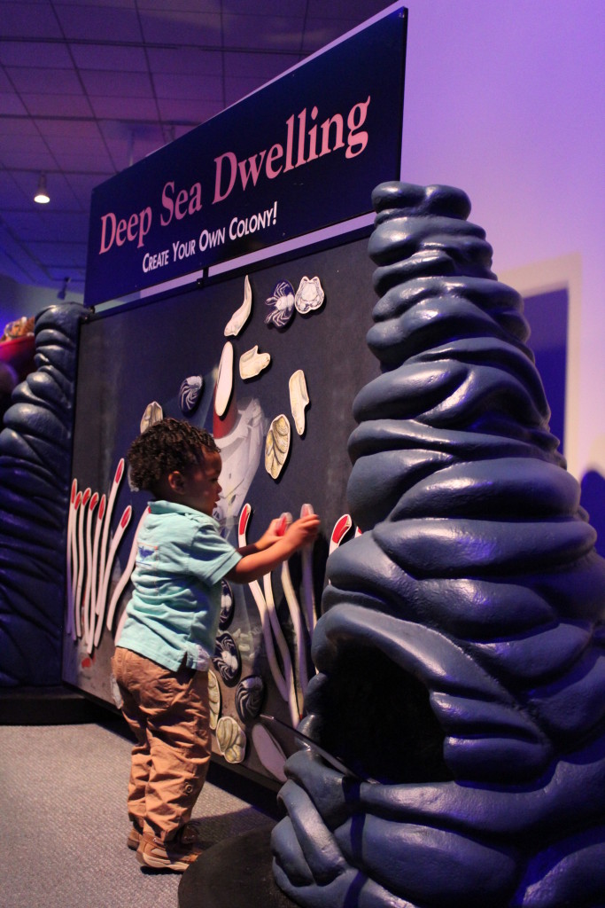 创建你自己的海洋居住殖民地